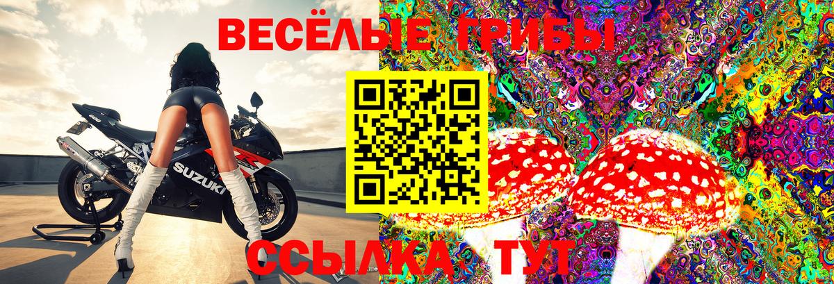 Галлюциногенные грибы MAGIC MUSHROOMS Ярцево