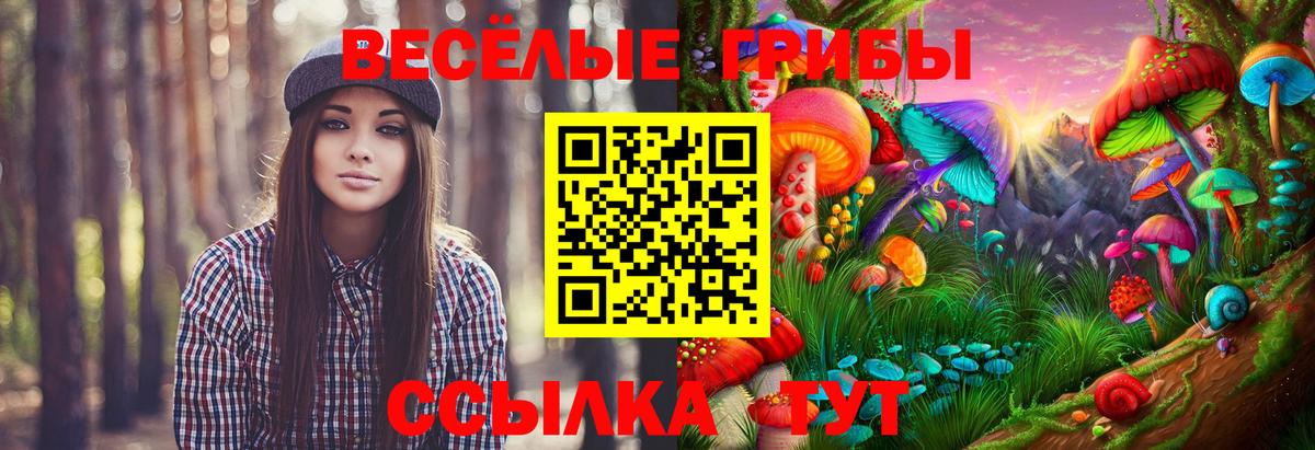Галлюциногенные грибы MAGIC MUSHROOMS  купить наркоту  Ярцево  Вход с VPN  Псилоцибиновые грибы GOLDEN TEACHER 